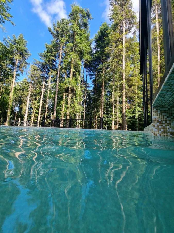 Bijele Vode Spa&Nature Hotel プリイェドル エクステリア 写真